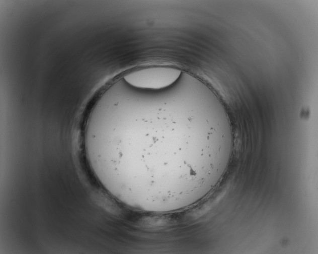 X0000103430351200809121042