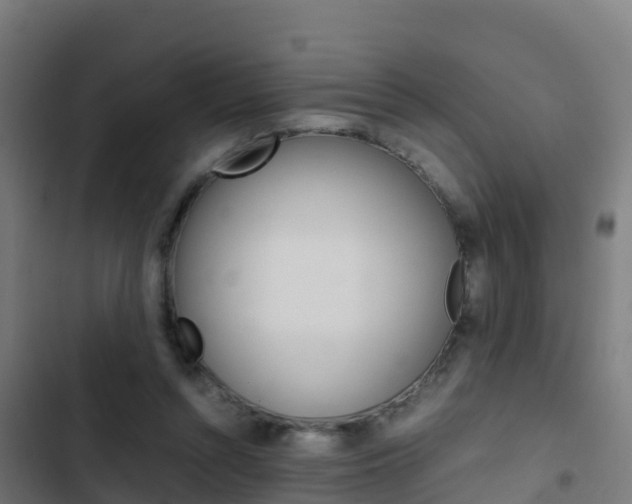 X0000103430352200809121042