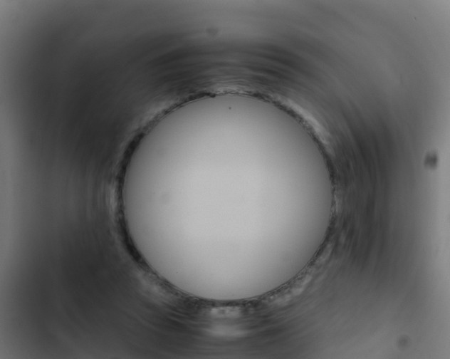 X0000103430353200809121042