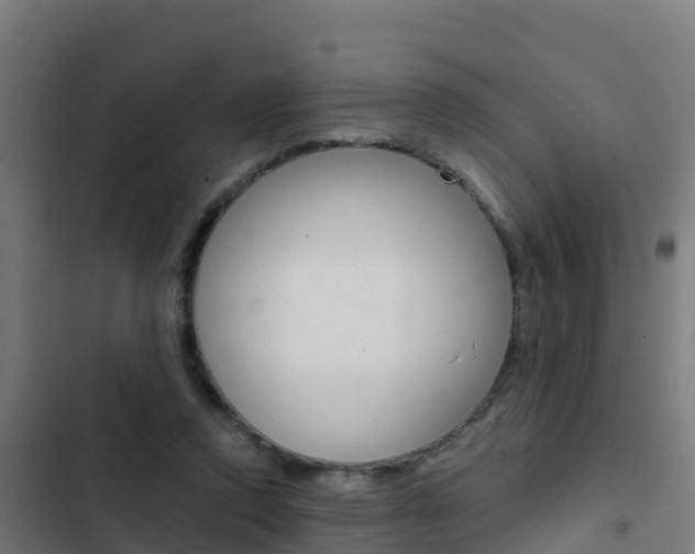 X0000103430354200809121042