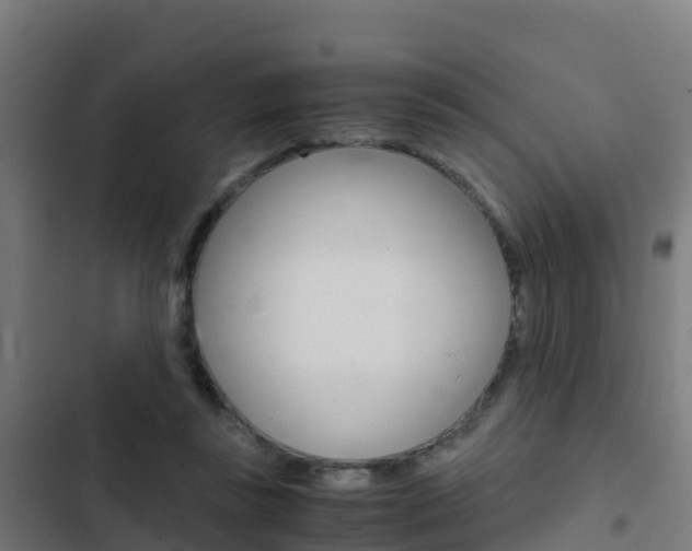 X0000103430355200809121042