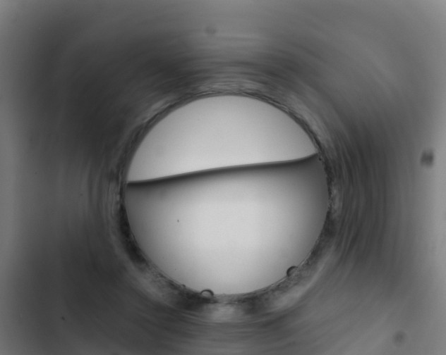 X0000103430356200809121042