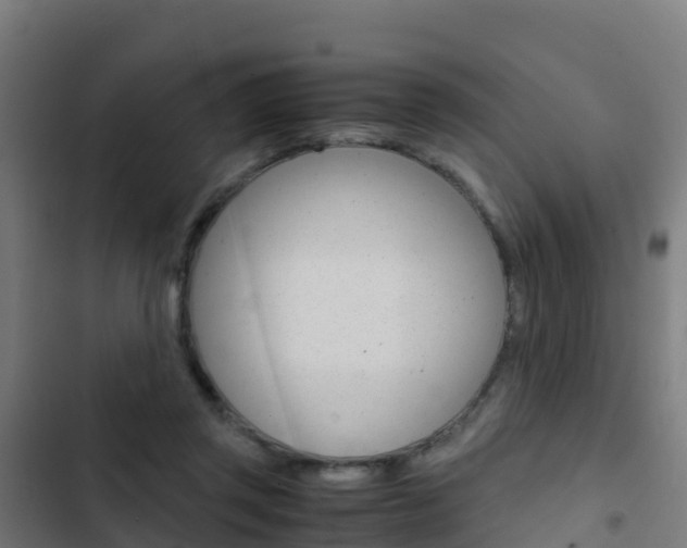 X0000103430357200809121042