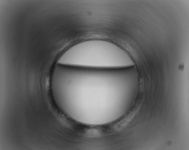 X0000103430358200809121042