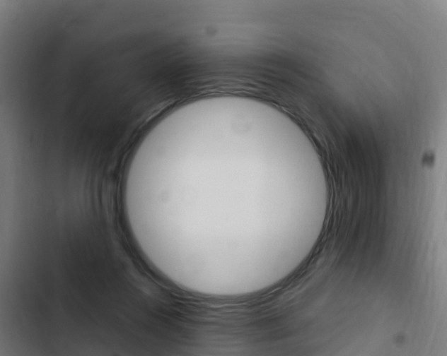 X0000103430360200809121042