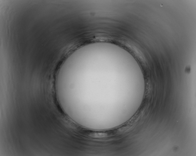 X0000103430361200809121042