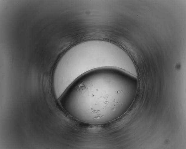 X0000103430362200809121042