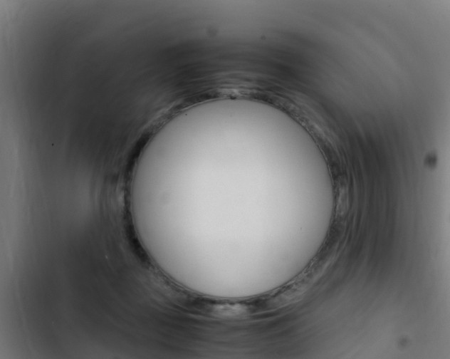 X0000103430363200809121042
