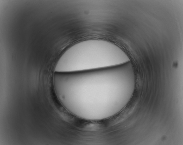 X0000103430364200809121042