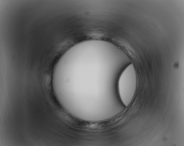 X0000103430365200809121042