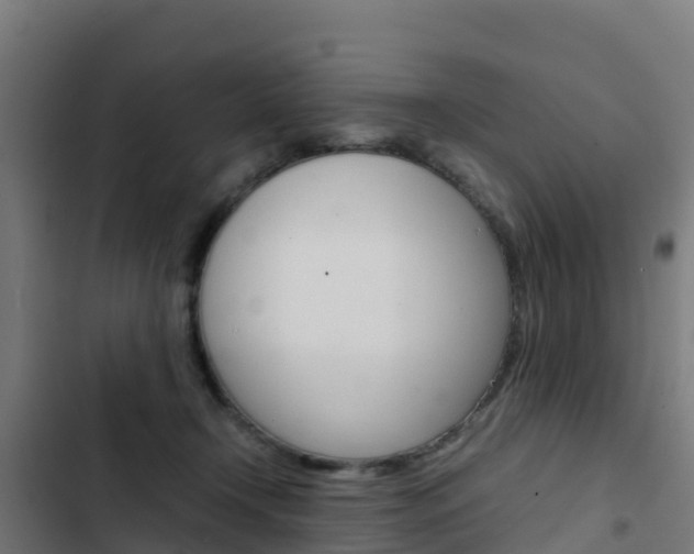X0000103430366200809121042