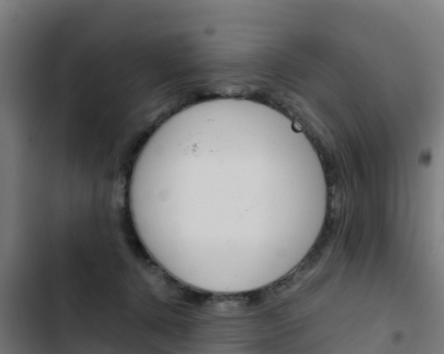 X0000103430368200809121042