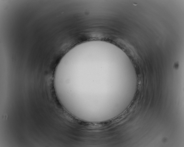 X0000103430369200809121042