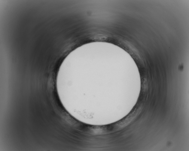 X0000103430370200809121042