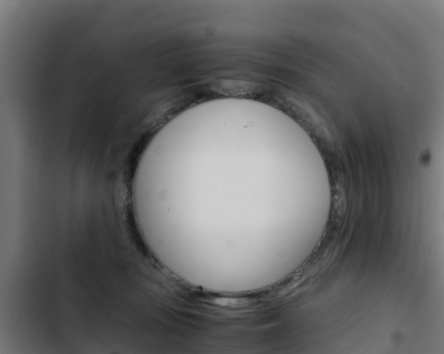 X0000103430371200809121042