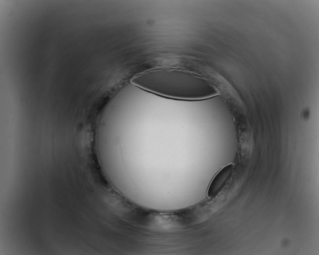 X0000103430372200809121042