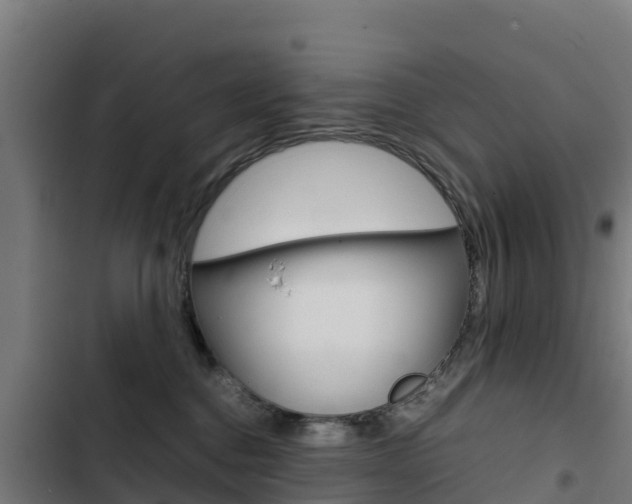 X0000103430376200809121042