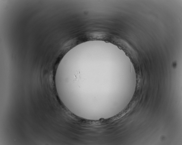 X0000103430377200809121042