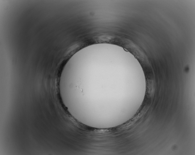 X0000103430378200809121042