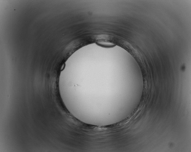 X0000103430379200809121042
