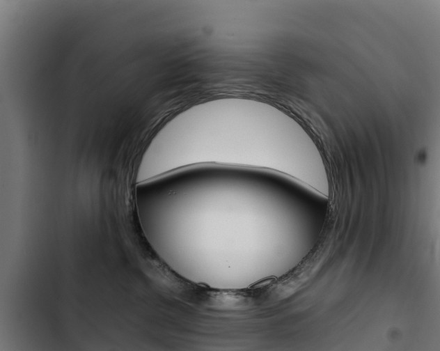 X0000103430380200809121043