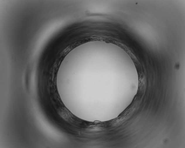 X0000103430381200809121043