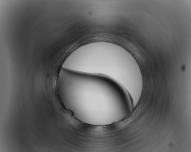 X0000103430382200809121043