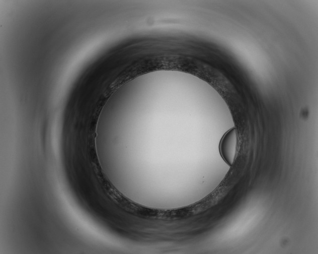 X0000103430383200809121043