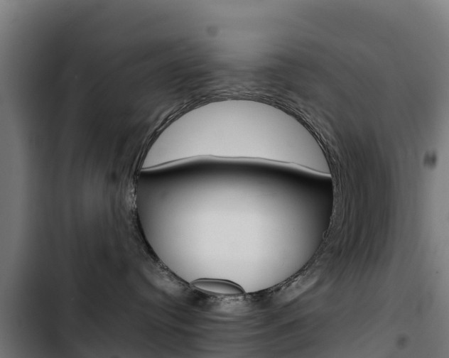 X0000103430384200809121043