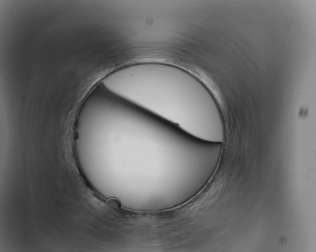 X0000103430385200809121042