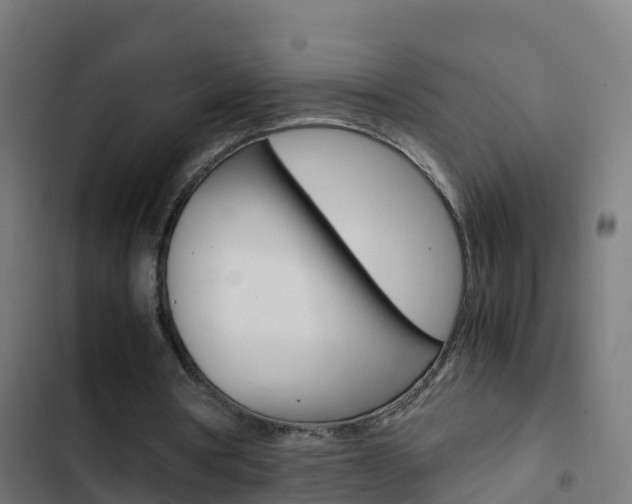 X0000103430386200809121042