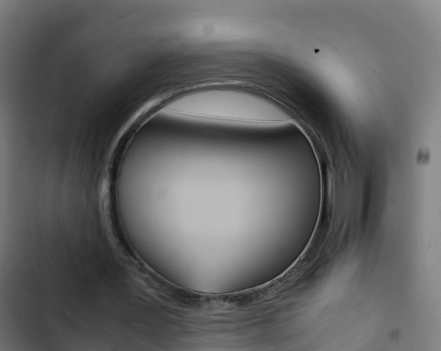 X0000103430387200809121042