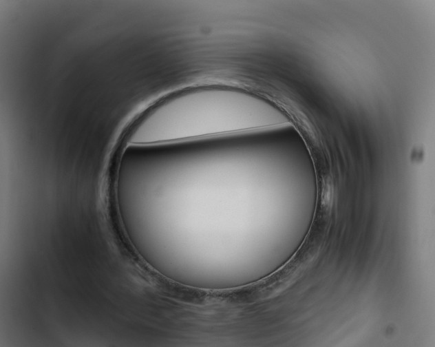 X0000103430388200809121042