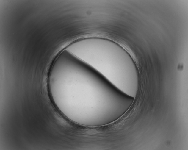 X0000103430389200809121042