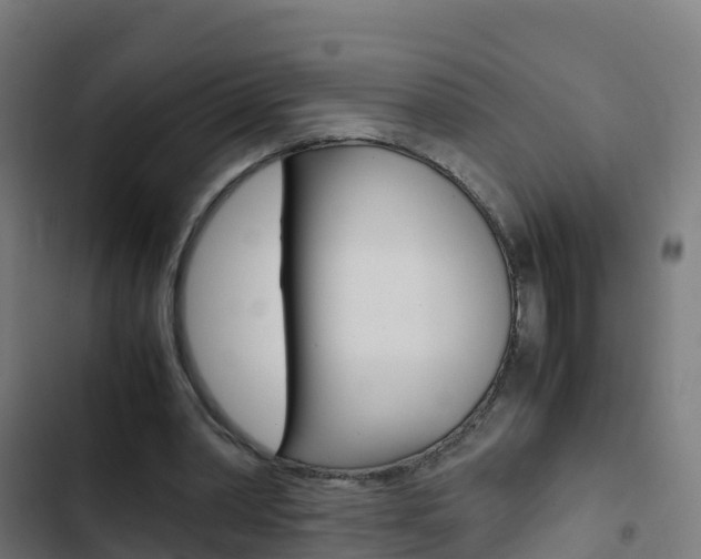 X0000103430390200809121042