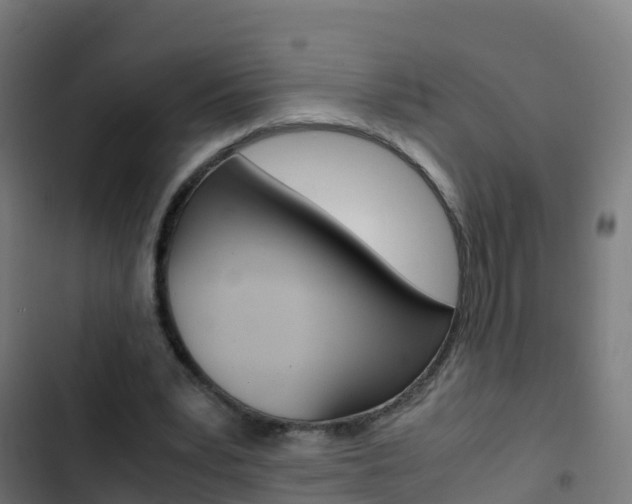 X0000103430391200809121042