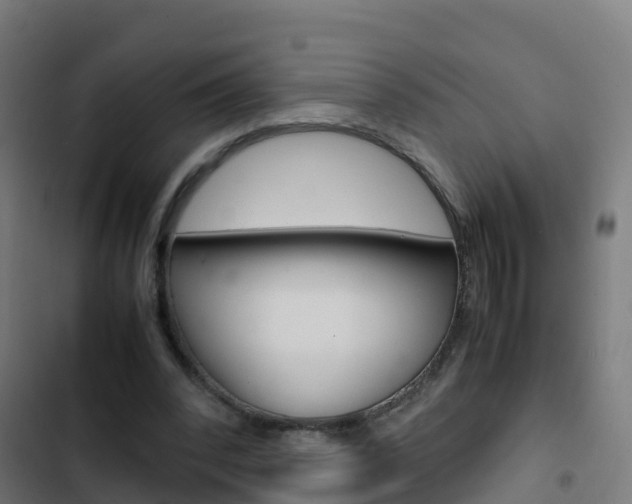 X0000103430392200809121042