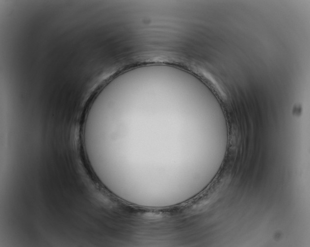 X0000103430394200809121042
