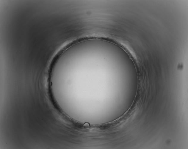 X0000103430395200809121042