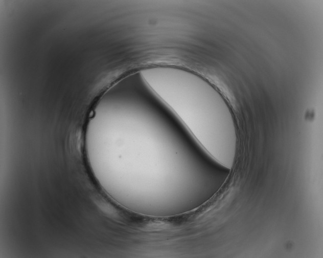 X0000103430397200809121042
