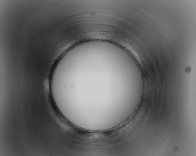 X0000103430398200809121042