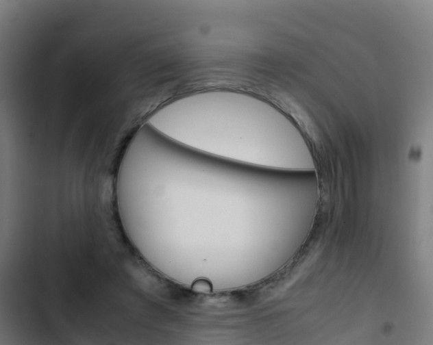 X0000103430401200809121042