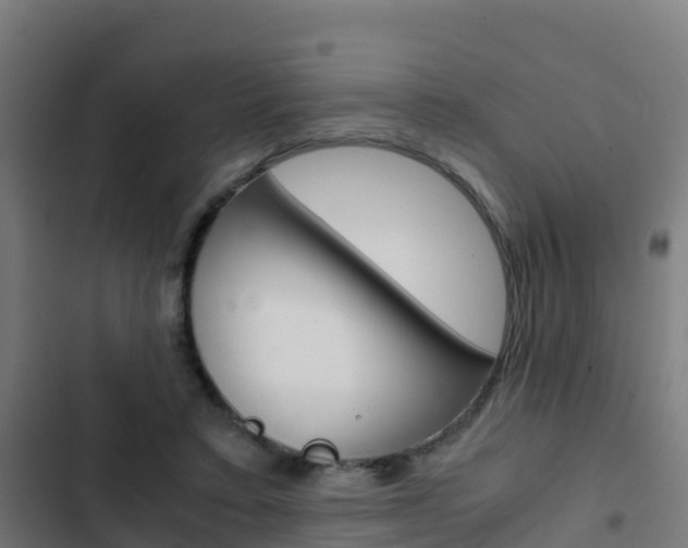 X0000103430403200809121042