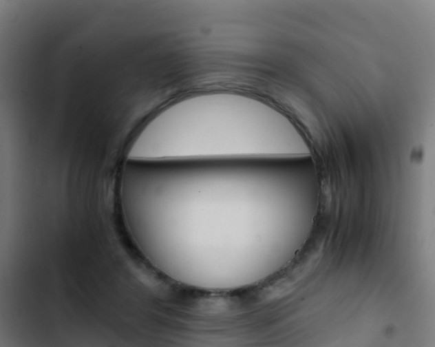 X0000103430404200809121042