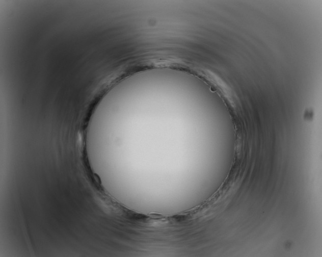 X0000103430405200809121042