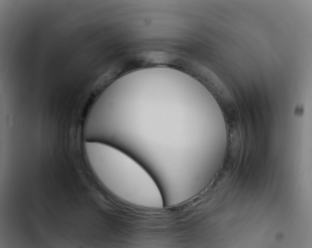 X0000103430406200809121042