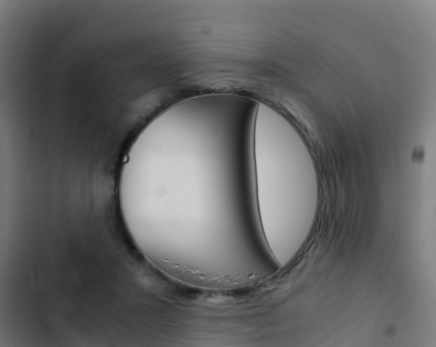 X0000103430407200809121042
