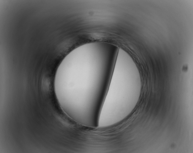 X0000103430408200809121042