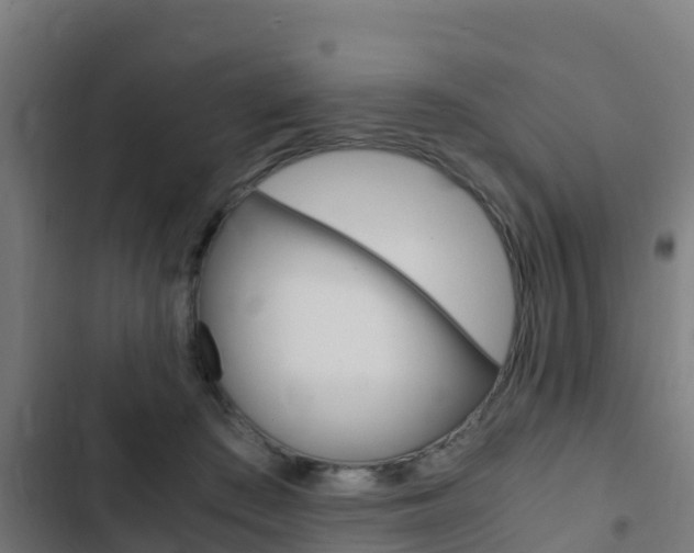 X0000103430409200809121042