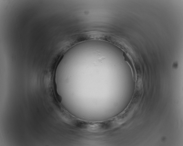 X0000103430411200809121042